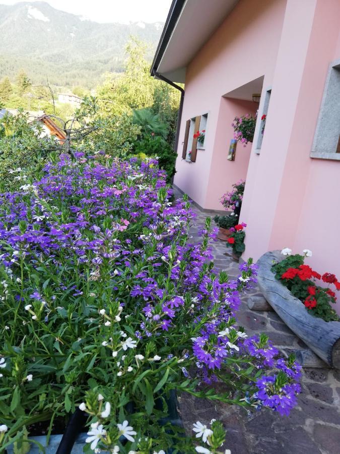 El Campizol Διαμέρισμα Drena Εξωτερικό φωτογραφία