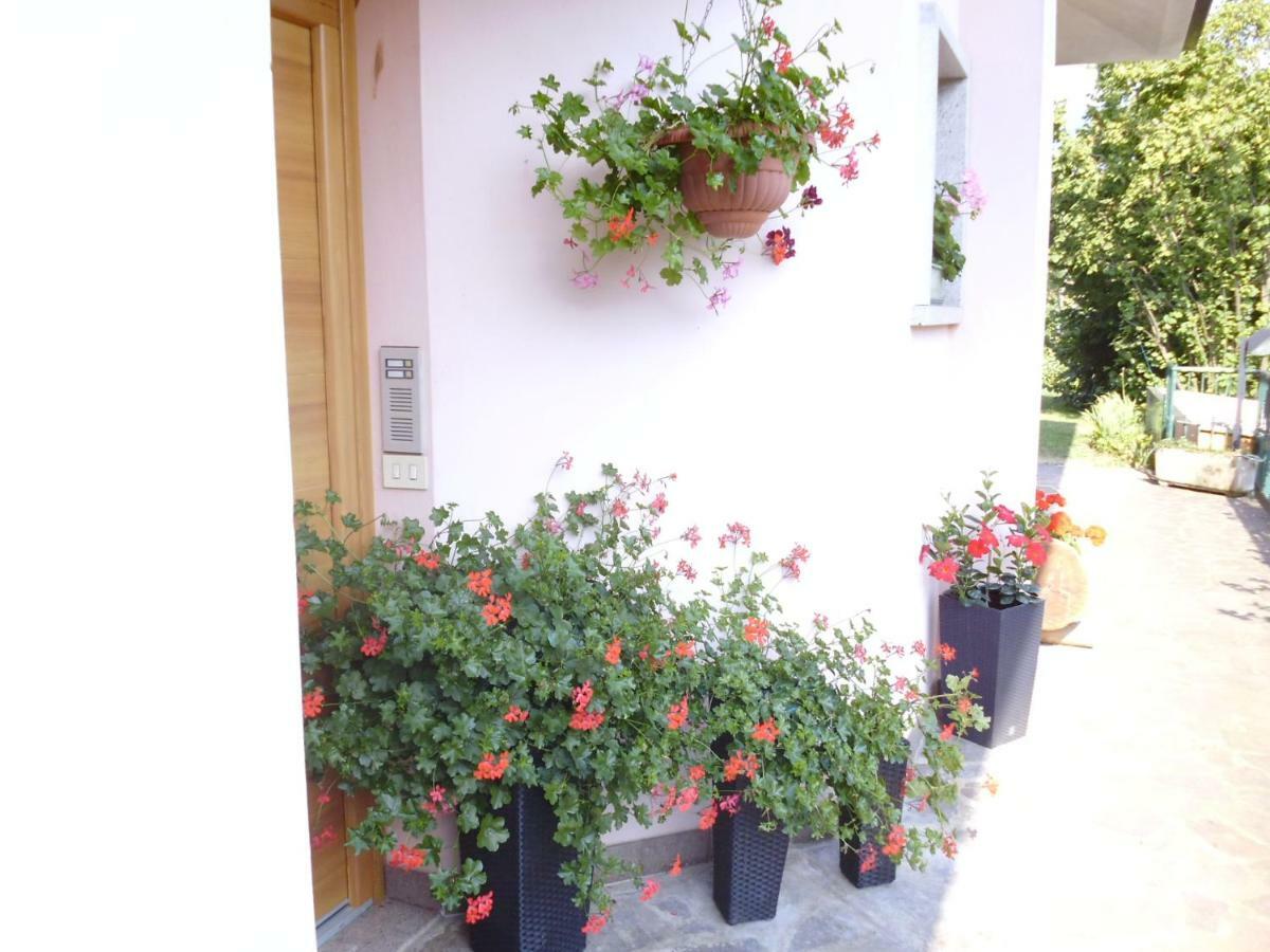 El Campizol Διαμέρισμα Drena Εξωτερικό φωτογραφία