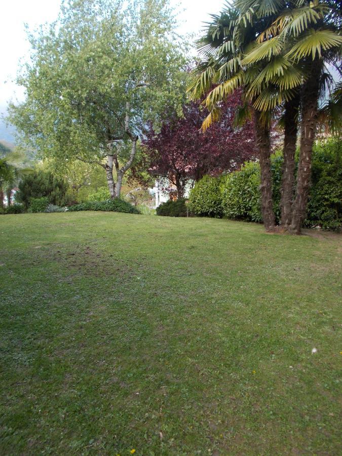El Campizol Διαμέρισμα Drena Εξωτερικό φωτογραφία
